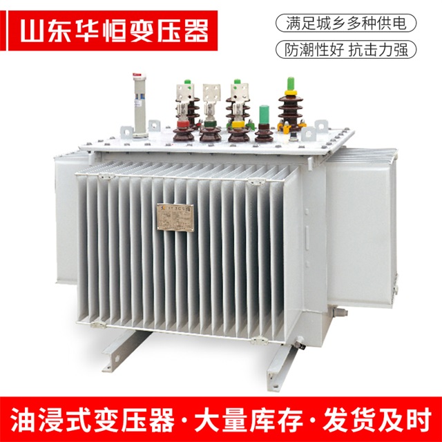 S13-10000/35浔阳浔阳浔阳电力变压器